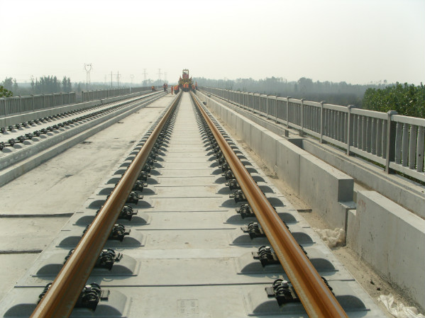 W5.jpg