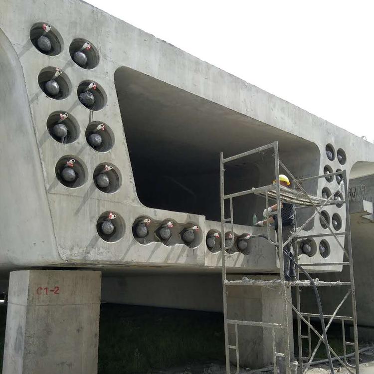 Y1.jpg